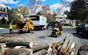 Best Arborist Consultation Services  in Greenbriar, VA