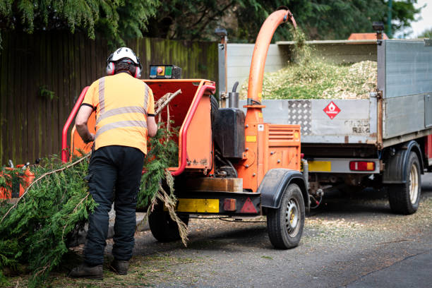 Best Firewood Processing and Delivery  in Greenbriar, VA